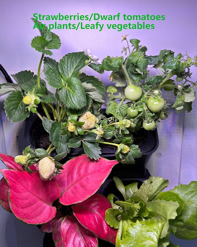 Wall Planters for Indoor Plants - Image 9