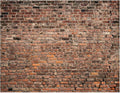 YYNXSY 6X4FT Large Fabric Brick Background by YYNXSYPhotographySupplies