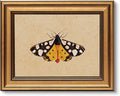 VIYYIEA Vintage Gold Framed Wall Art by VIYYIEAART