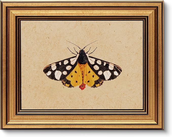 VIYYIEA Vintage Gold Framed Wall Art by VIYYIEAART