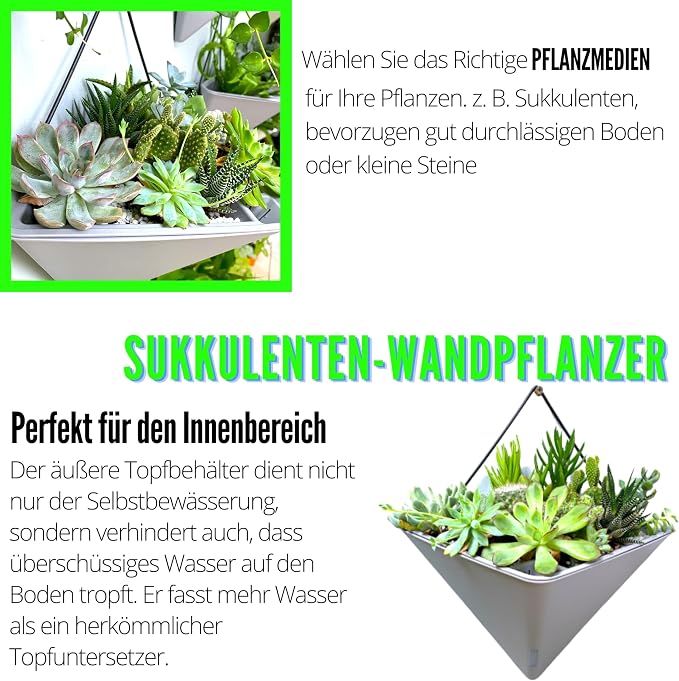 LaLaGreen Wall Planters for Indoor Plants - Image 5