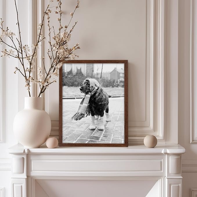 Poster Master Vintage Dog Dressed - Image 5