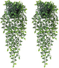 Artificial Hanging Plants, 2 Pack Fake Wall Plants, Faux Mandala Vines Potted by Season2Season