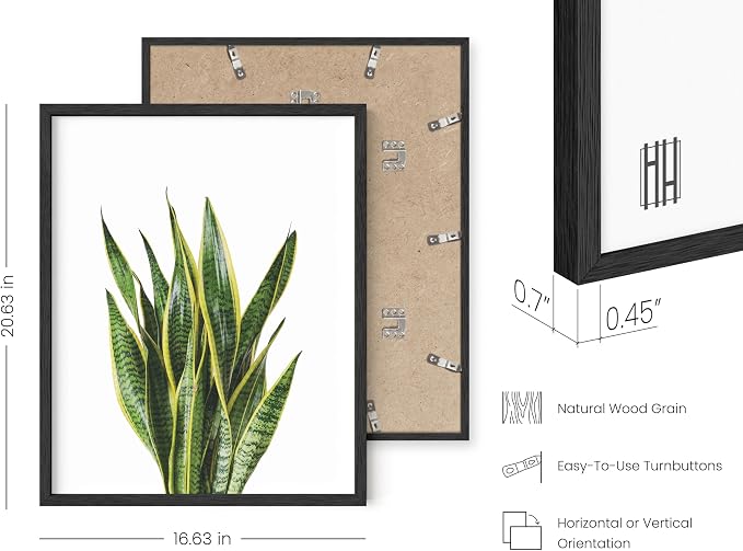 HAUS AND HUES Plant Wall Art - Image 3