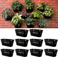 LaLaGreen Wall Planter Black Oval Metal Hanging Decor Plant Holder Wall Planters by L%C3%A1L%C3%A1Green