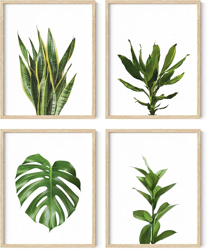 HAUS AND HUES Plant Wall Art by HausandHuesArtPrints