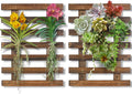Mulctun 2 Pcs Wall Planters by Unknown