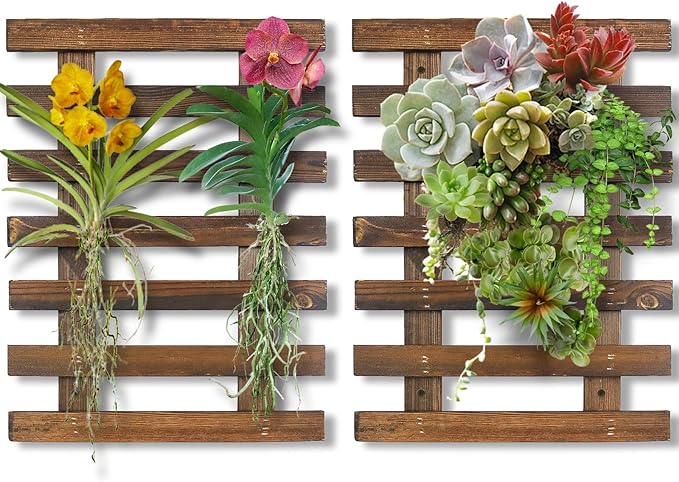 Mulctun 2 Pcs Wall Planters by Unknown