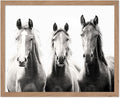 Poster Master Vintage Photograph Poster by PosterMaster