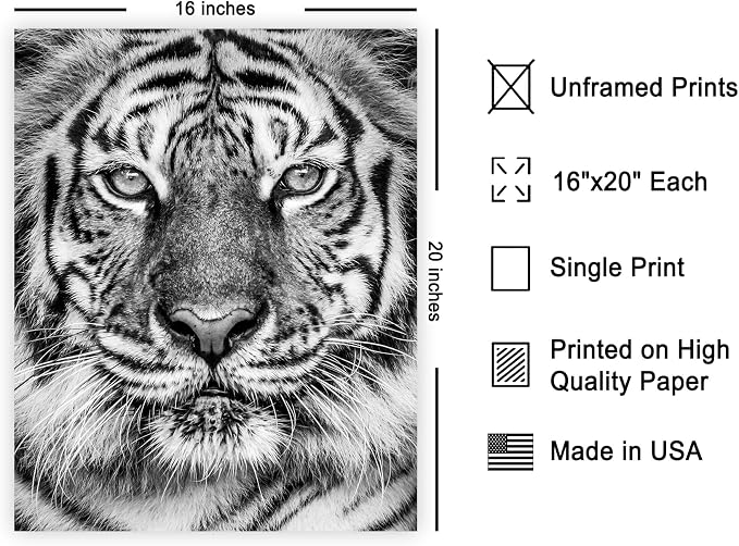 Poster Master Tiger Print - Image 2