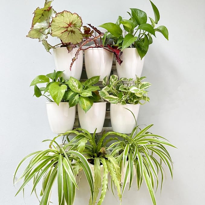 LáLáGreen Wall Planters for Indoor Plants - Image 6