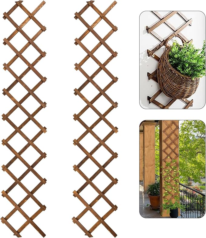 2Packs 13x78in Expandable Wood Wall Trellis by ANPHSIN