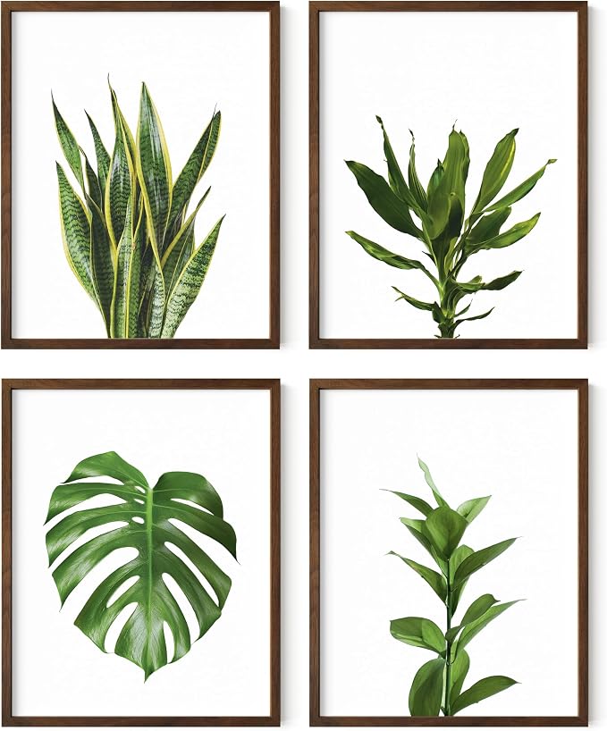 HAUS AND HUES Plant Wall Art by HausandHuesArtPrints