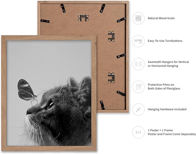 Poster Master Butterfly on Cat Print - Image 2