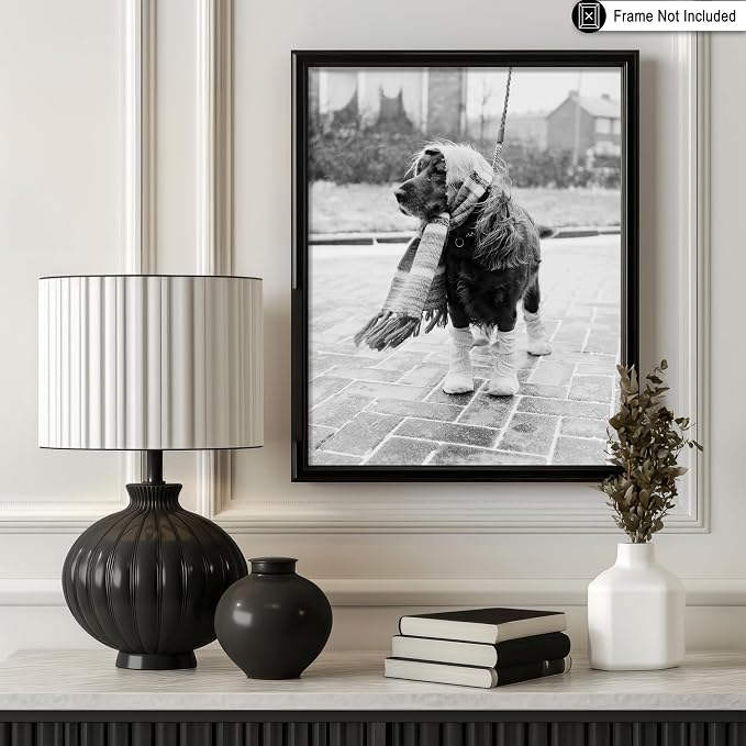 Poster Master Vintage Dog Dressed - Image 3