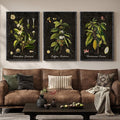 Large Vintage Framed Botanical Wall Art, 3 Piece Dark Green Plant Canvas Prints by Cuspin