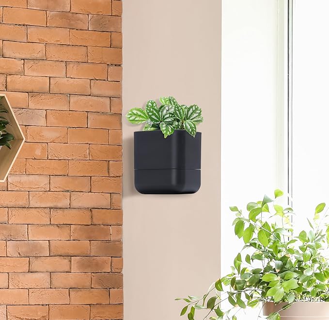Phoenix Vine 6.5 Inch Wall Mounted Self-Watering Planter Pot - Image 7