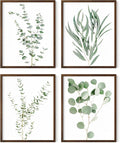 HAUS AND HUES Botanical Plant Wall Art by HausandHuesArtPrints