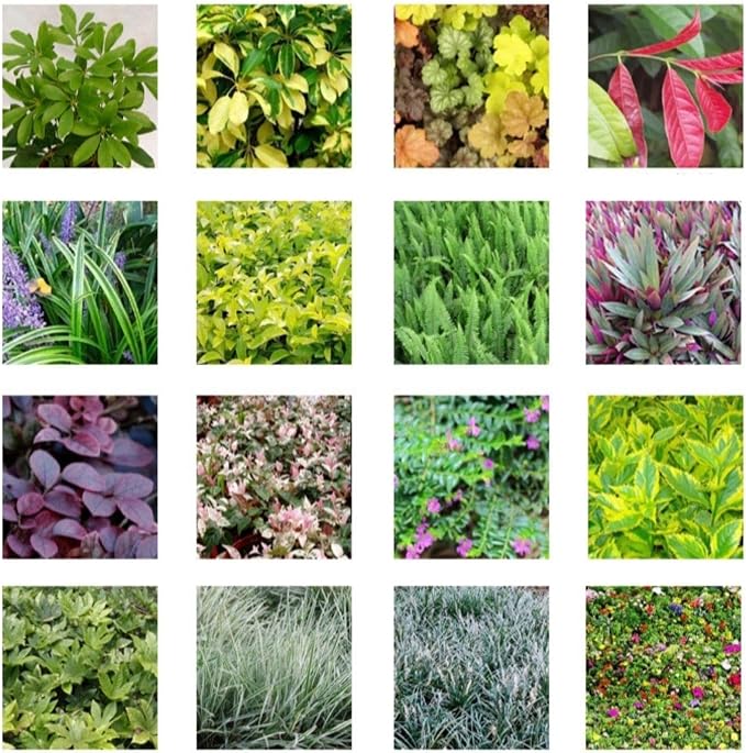 36 Pockets Living Wall Planter Indoor, Self Watering Wall Hanging Planters - Image 9