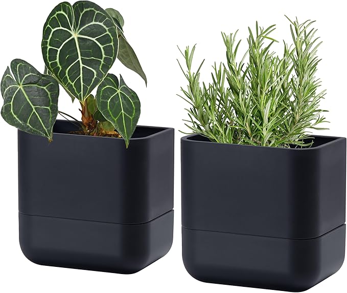 Phoenix Vine 6.5 Inch Wall Mounted Self-Watering Planter Pot by Phoenix+Vine