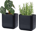 Phoenix Vine 6.5 Inch Wall Mounted Self-Watering Planter Pot by Phoenix+Vine
