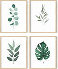 HAUS AND HUES Framed Botanical Wall Art by HausandHuesArtPrints