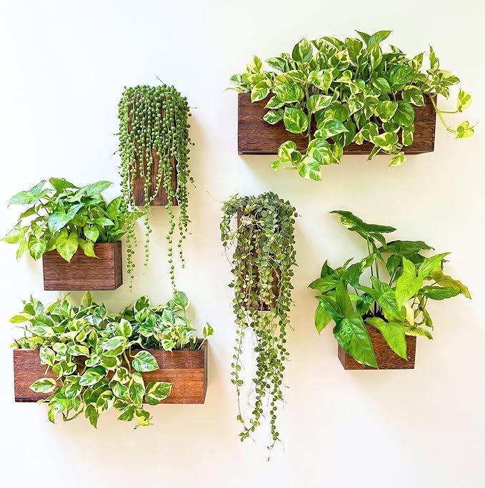 LaLaGreen Wood Planter Box for Plants Wooden Hanging Wall Planters for Indoor by L%C3%A1L%C3%A1Green