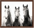 Poster Master Vintage Photograph Poster by PosterMaster