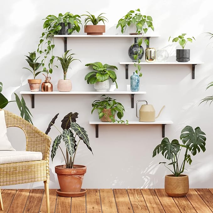 DINZI LVJ Long Wall Shelves, 23.6 Inch Wall Mounted Shelves Set of 2, - Image 6