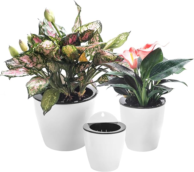3 Pack Self Watering Wall Hanging Planter Pots Vertical Garden Window Hang by OrimercGarden