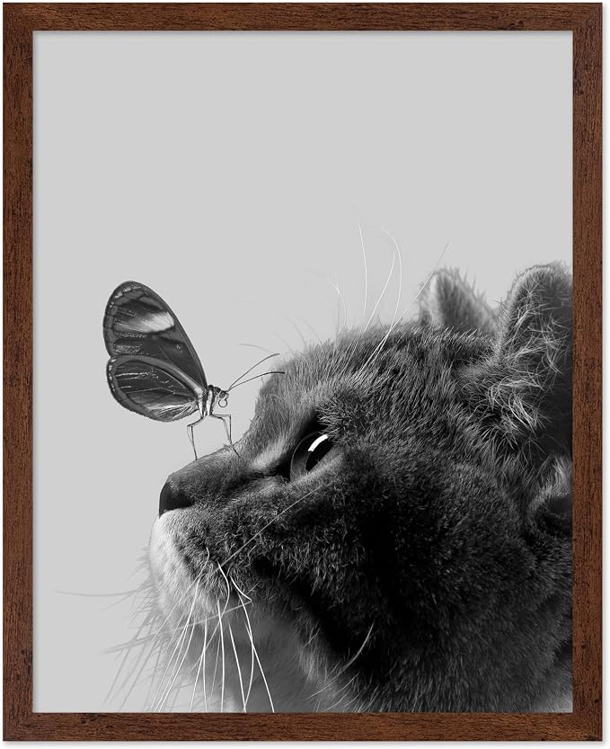 Poster Master Butterfly on Cat Print by PosterMaster