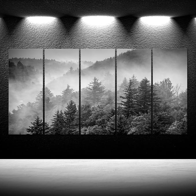 iKNOW FOTO 5-Piece X-Large Canvas Wall Art Set Black and White Misty Forest & - Image 2