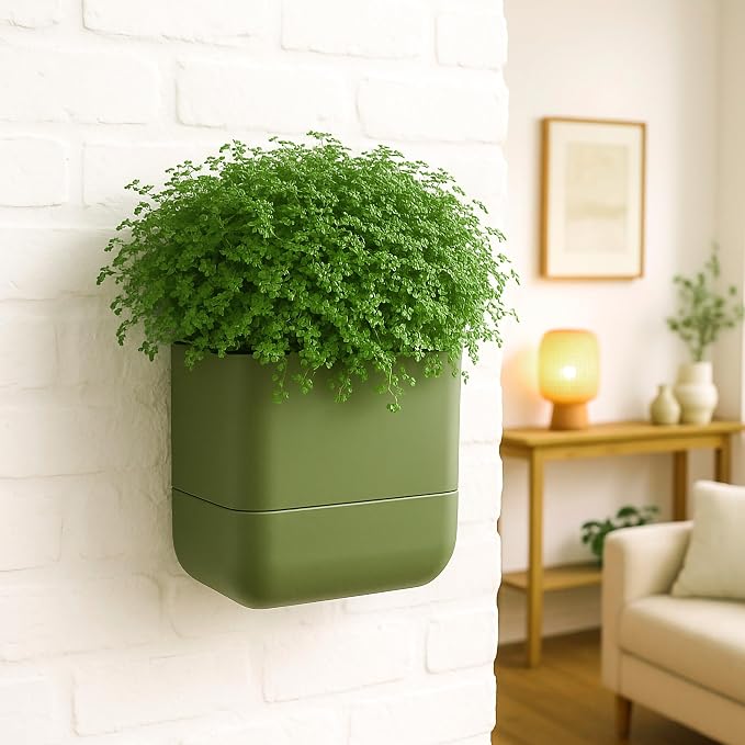 Phoenix Vine 6.5 Inch Wall Mounted Self-Watering Planter Pot - Image 7