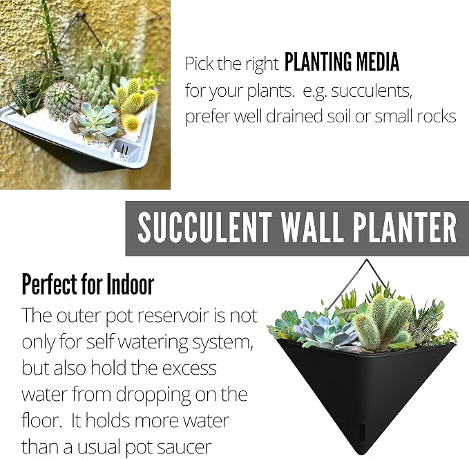 LaLaGreen Wall Planters for Indoor Plants - Image 3
