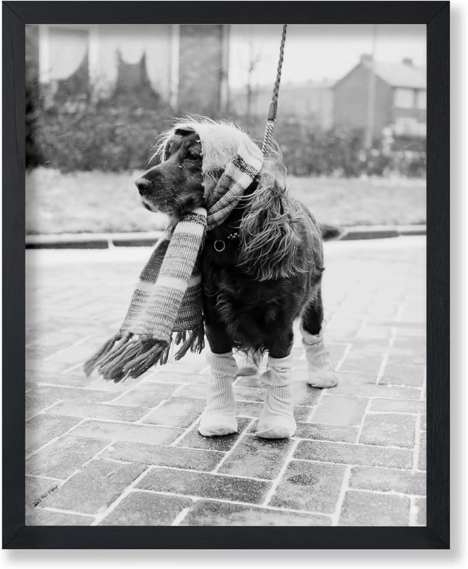 Poster Master Vintage Dog Dressed by PosterMaster