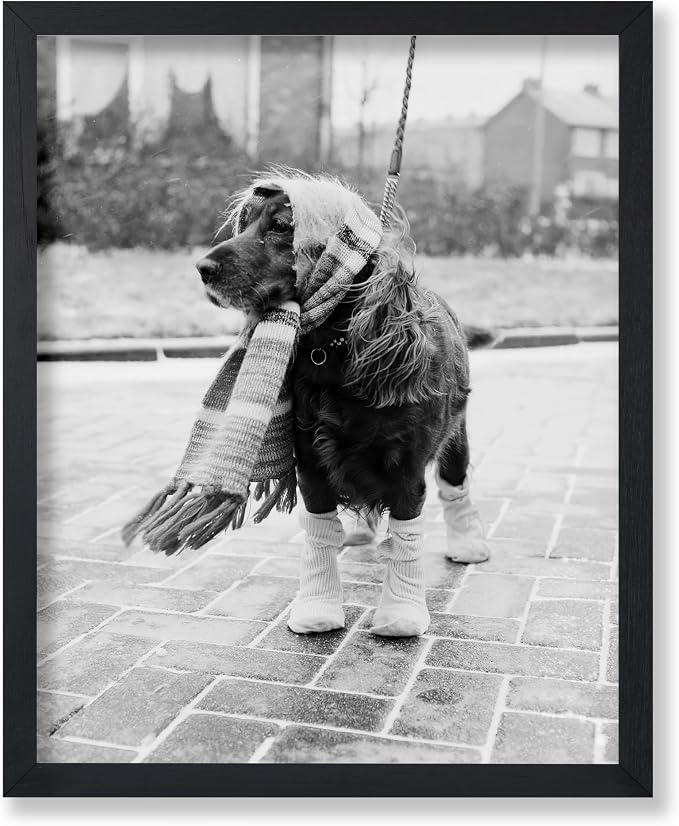 Poster Master Vintage Dog Dressed by PosterMaster
