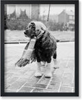 Poster Master Vintage Dog Dressed by PosterMaster