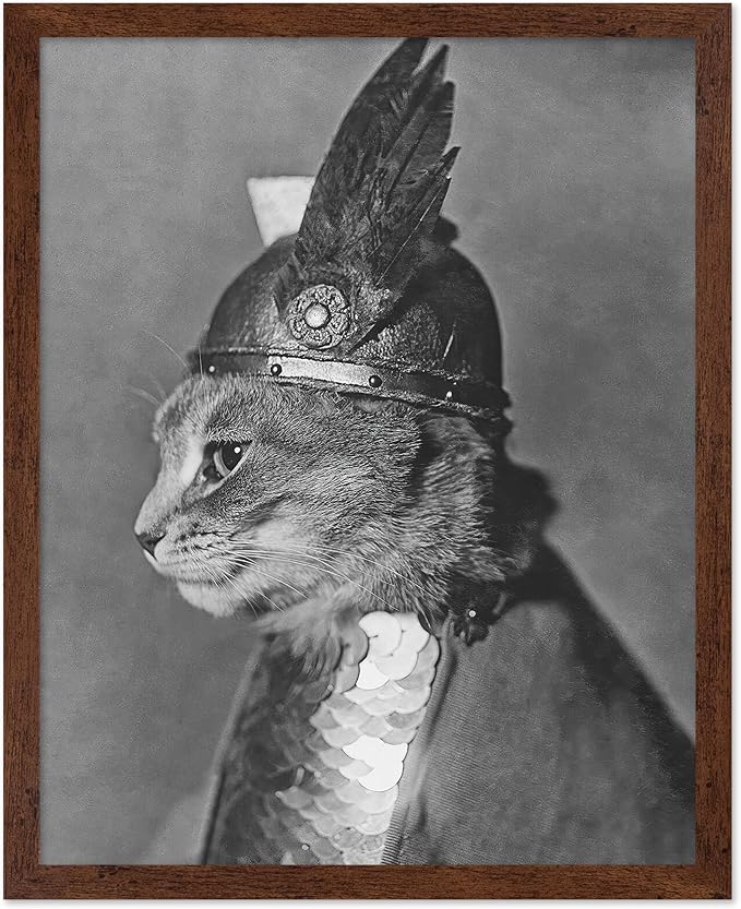 Poster Master Vintage Armored Cat by PosterMaster