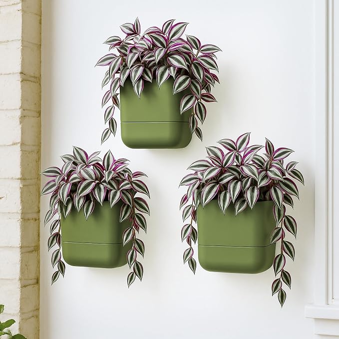 Phoenix Vine 6.5 Inch Wall Mounted Self-Watering Planter Pot - Image 6