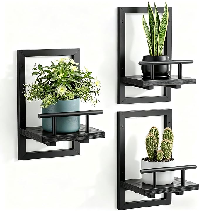 Sbosbo Floating Shelves for Wall, Plant Shelf Indoor, Wall Planters for Indoor by SBOSBO