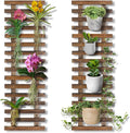 Mulctun 2 Pcs Wall Planters by Unknown