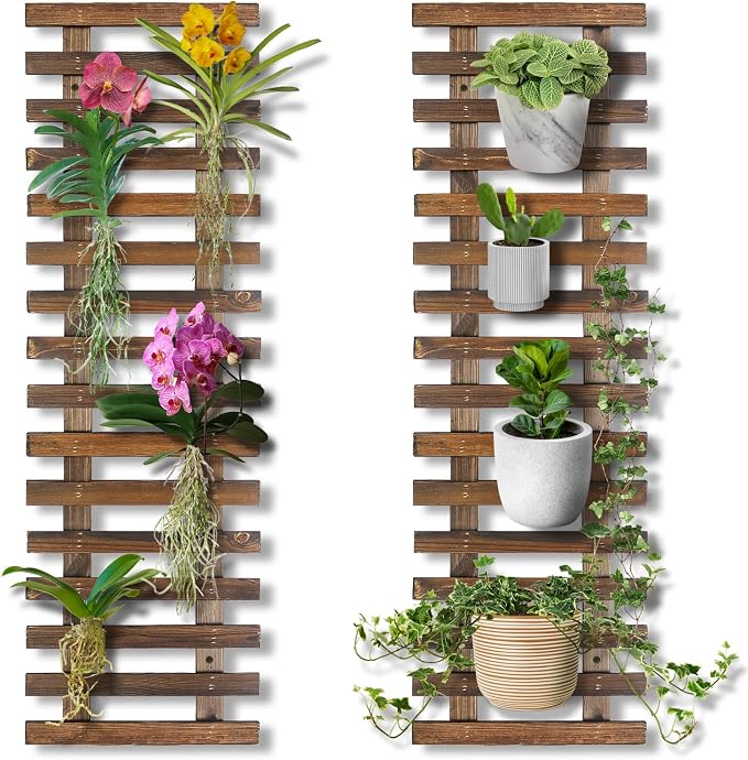 Mulctun 2 Pcs Wall Planters by Unknown