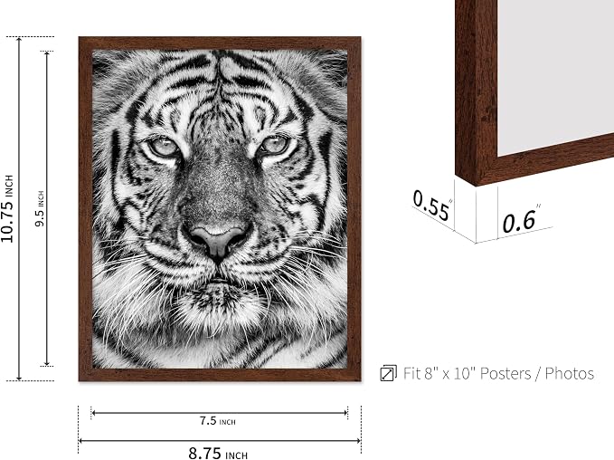 Poster Master Tiger Print - Image 3