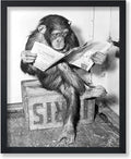 Poster Master Vintage Photograph Poster by PosterMaster