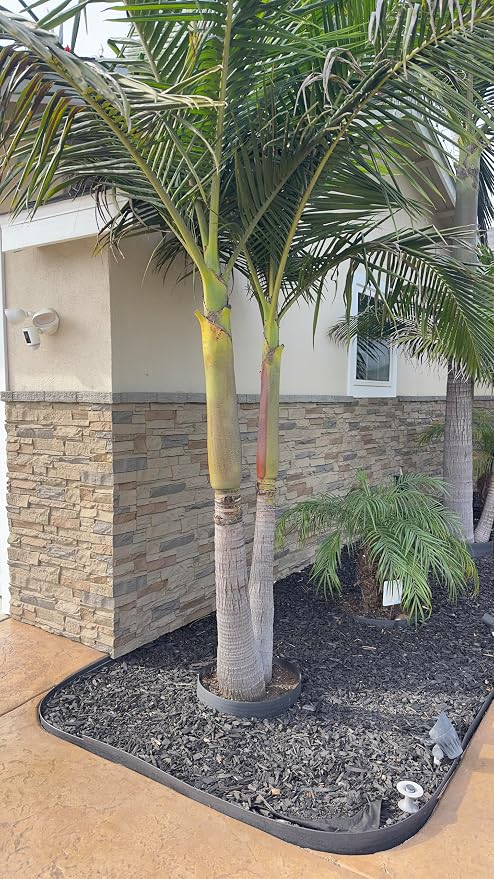Faux Stone Wall Panels 2-Pack PU Stone Veneer Siding, Mortarless 46.25x12.88 - Image 2