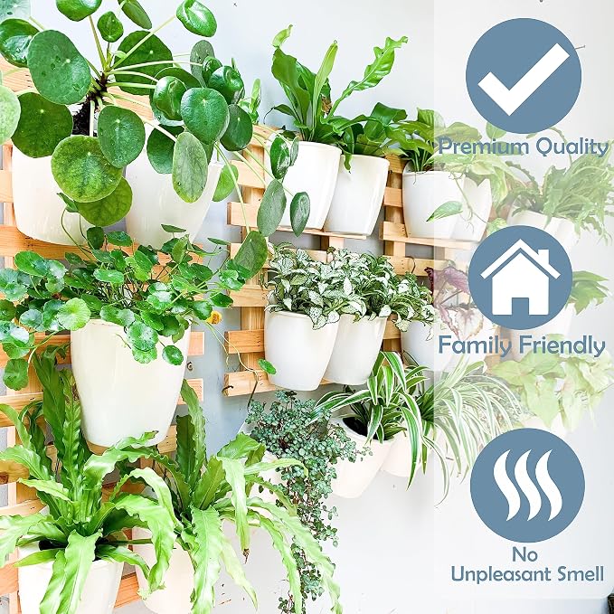 LaLaGreen Wall Mounted Planters - Image 9