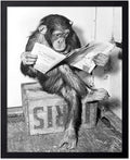 Poster Master Vintage Photograph Poster by PosterMaster