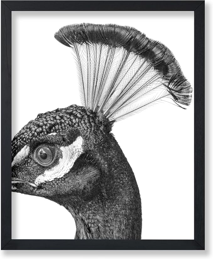 Poster Master Vintage Peacock Poster by PosterMaster