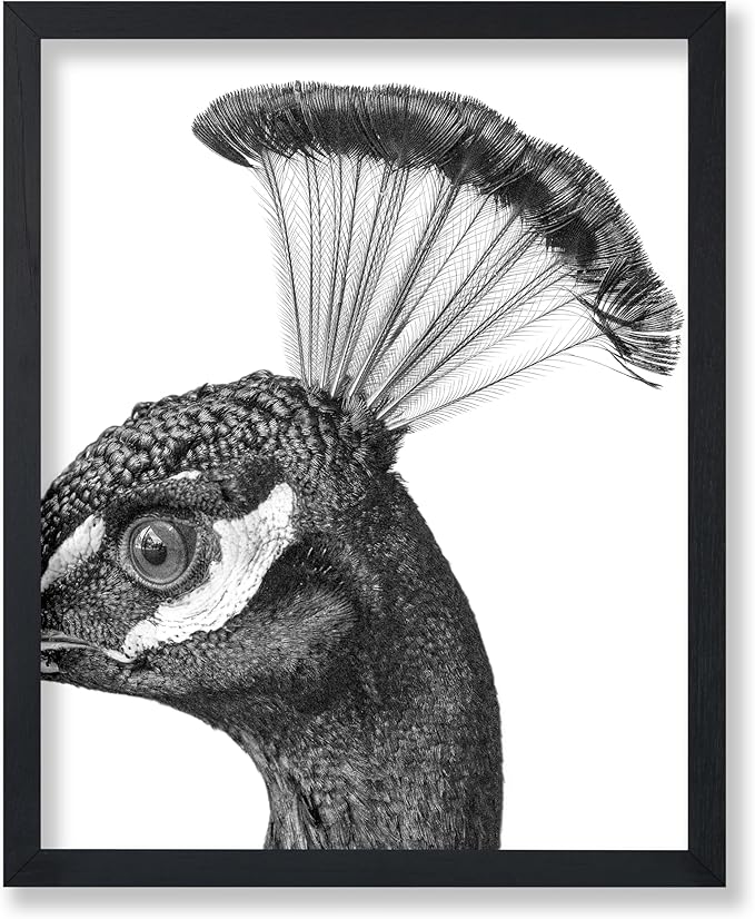 Poster Master Vintage Peacock Poster by PosterMaster