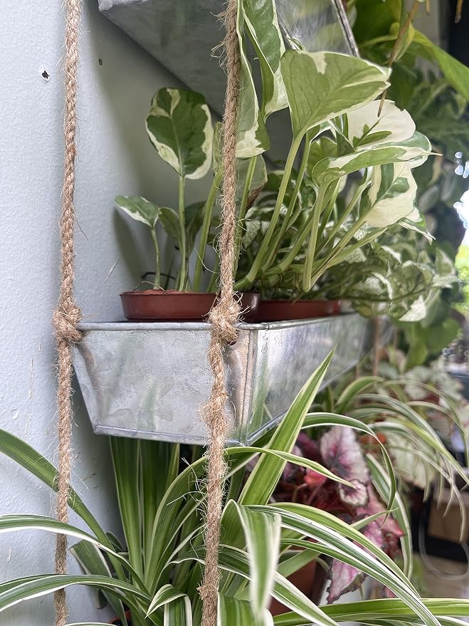 LaLaGreen Wall Hanging Planter - Image 3